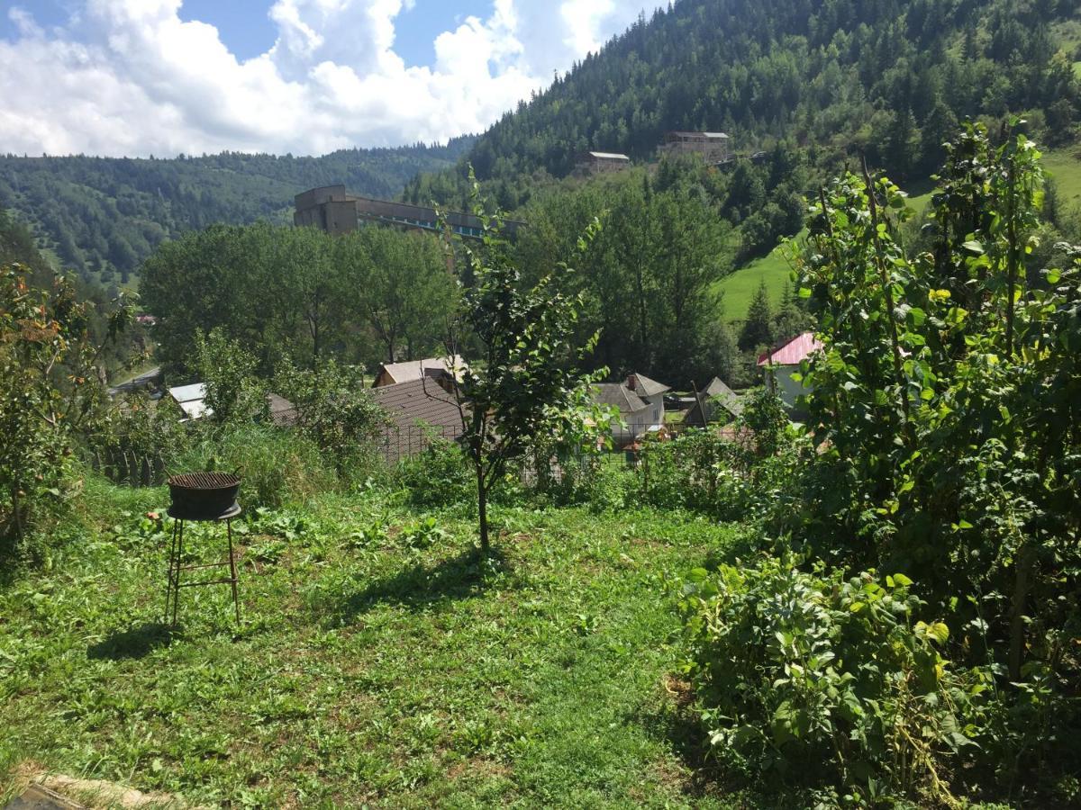 Acasa In Bicaz-Chei - Camere De Inchiriat Cheile Bicazului Экстерьер фото